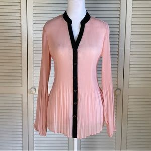 Pleated Sheer Button-Up long sleeved Blouse